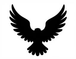 Silhouette