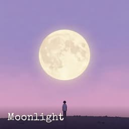Lo-Fi album cover example