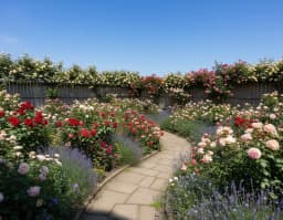 English garden