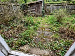 Verwilderter Garten mit Unkraut und einem alten Schuppen, vor der Neugestaltung