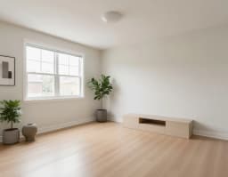 Minimalist
