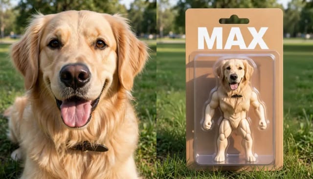 A golden retriever and the same dog as a boxed action figure named MAX