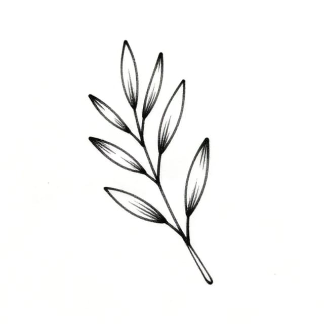 Fine line tattoo design of a thin olive branch