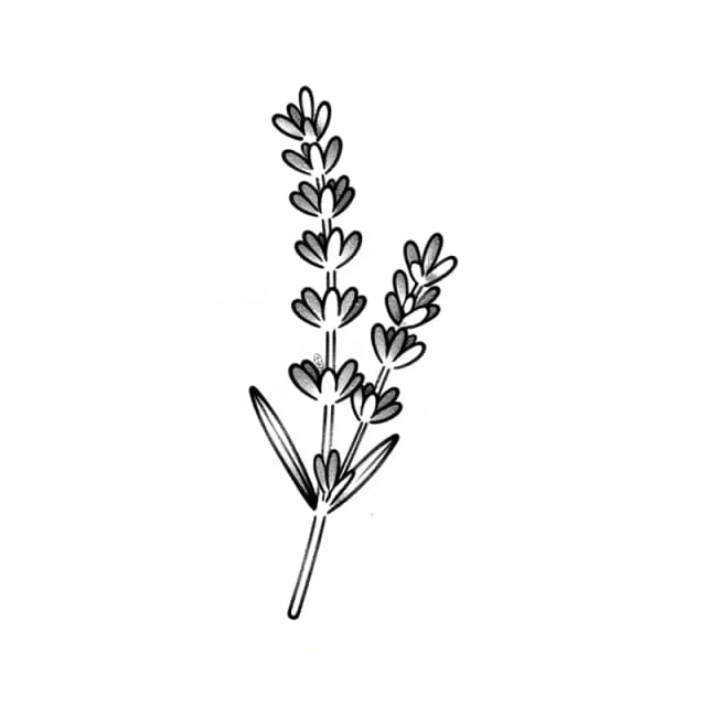 Fine line tattoo design of a single sprig of lavender