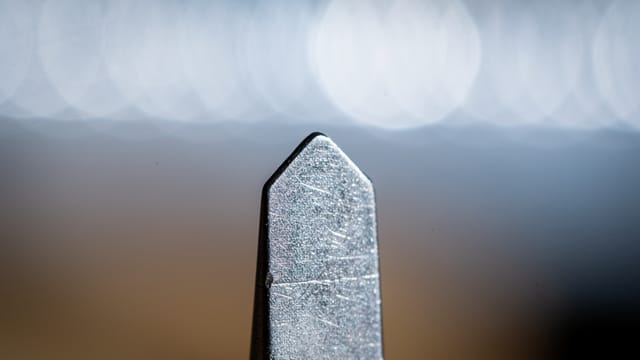 A sharp foreground against a soft background
