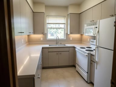 Kitchen styles: Modern