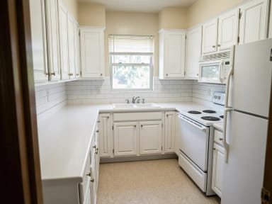 Kitchen styles: White kitchen